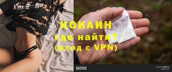 прущие грибы Балахна