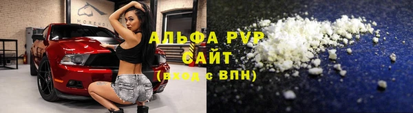 прущие грибы Балахна