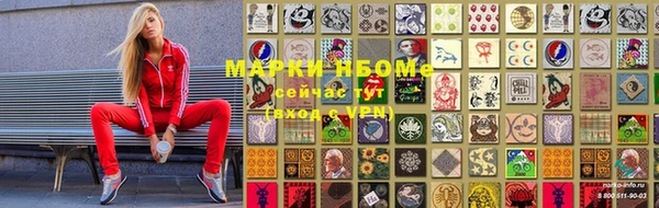 прущие грибы Балахна
