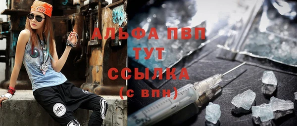 прущие грибы Балахна