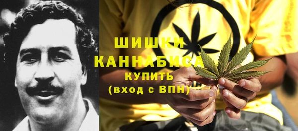 прущие грибы Балахна