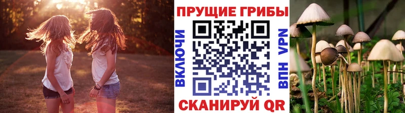 купить  сайты  Бирск  мориарти формула  Псилоцибиновые грибы Magic Shrooms 